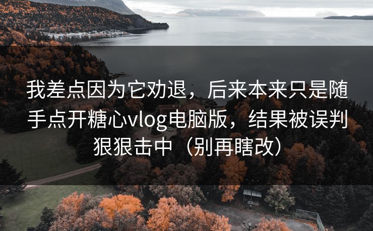 我差点因为它劝退，后来本来只是随手点开糖心vlog电脑版，结果被误判狠狠击中（别再瞎改）