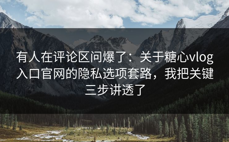 有人在评论区问爆了：关于糖心vlog入口官网的隐私选项套路，我把关键三步讲透了